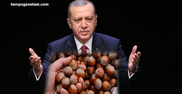 Cumhurbaşkanı Erdoğan fındık alım fiyatlarını açıkladı
