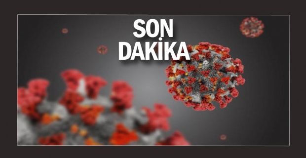 Milyonlar bu haberi bekliyor! Türk bilim insanından corona ilacı tavsiyesi...