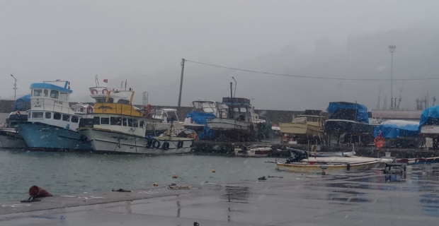 Zonguldak'ta Balıkçılık masaya yatırıldı!