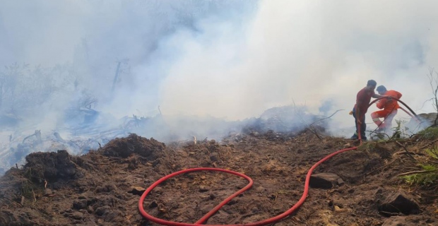 Ormanlık alanda çıkan yangına ekipler müdahale etti