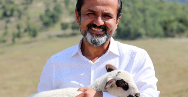 6 aile koyun projesi ile yeniden köyüne döndü