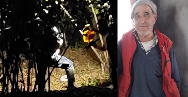 Zonguldak’ta yaşlı adam fındık bahçesinde ölü bulundu