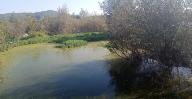 Çaycuma Belediyesi'nin kanalizasyon atığını OSB arıtma tesisine döktüğü iddia edildi