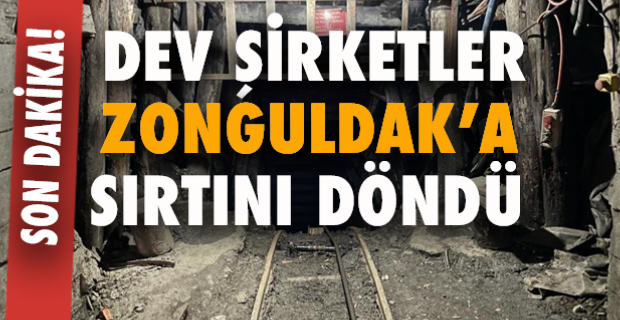 Ayağa kalk Zonguldak, evlatların işsiz kalacak
