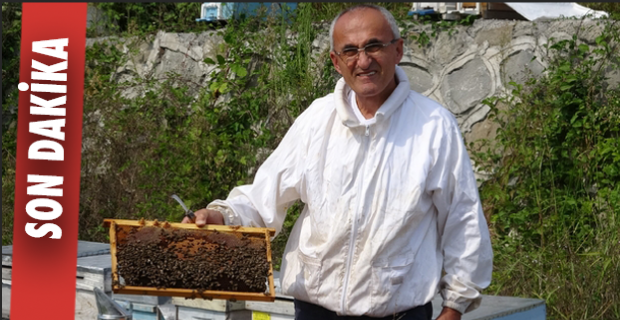 Zonguldak, arıdan 120 Milyon kazanıyor
