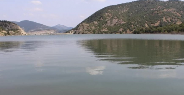 Göl ve göletlere 30 bin yavru sazan balığı bırakıldı