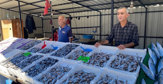 Zonguldak’ta balık fiyatları yeniden yükselişe geçti